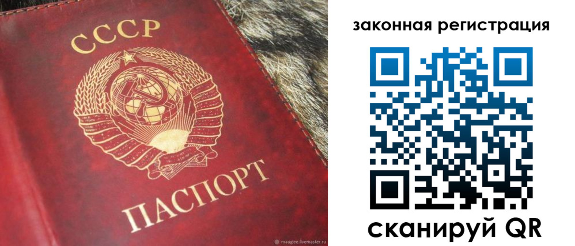 прописка от собственника в Похвистнево
